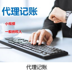 地税环境下企业登记代理的核心要点与价值解析