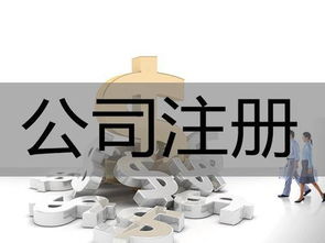 济宁梁山企业登记代理与公司注册可靠服务指南