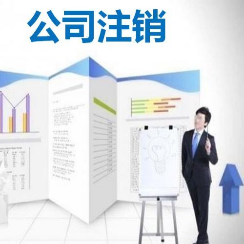 外资公司注销所需材料及企业登记代理服务指南